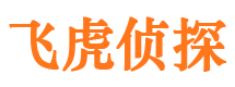 连平市私家侦探